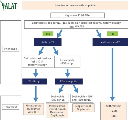 DIRETRIZES LATINO-AMERICANAS PARA ASMA GRAVE: LEIA O RESUMO E FAÇA O DOWNLOAD DIRETRIZES LATINO-AMERICANAS PARA ASMA GRAVE: LEIA O RESUMO E FAÇA O DOWNLOAD